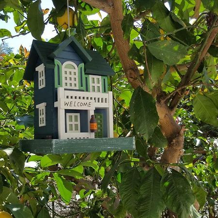 Casa Vacanze Darena Tortoreto Dış mekan fotoğraf