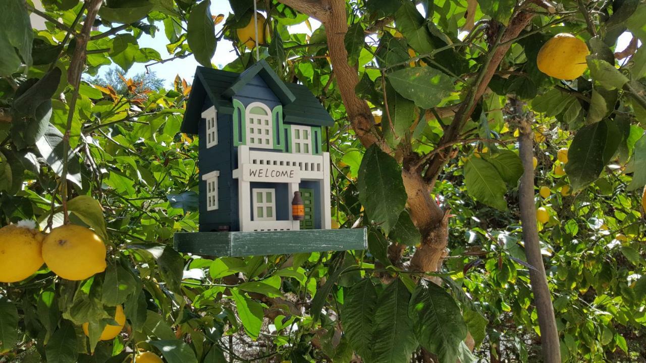 Casa Vacanze Darena Tortoreto Dış mekan fotoğraf